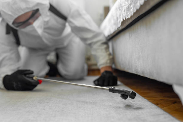 Professional Pest Control technician working in Turlock, CA