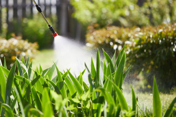 24/7 Emergency Pest Control experts in Turlock, CA